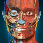 3d anatomy learning android application logo